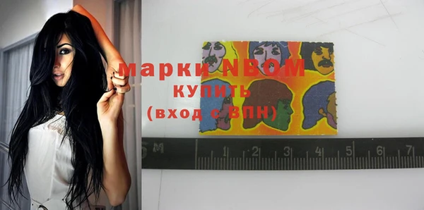 ALPHA PVP Елизово